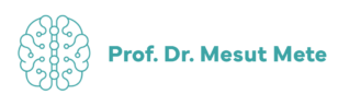Prof. Dr. Mesut Mete
